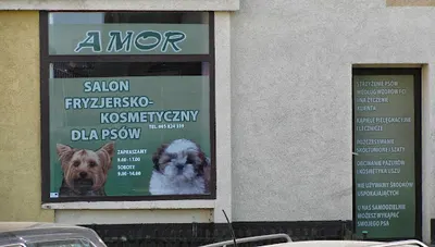 Zakład fryzjersko-kosmetyczny dla psów AMOR